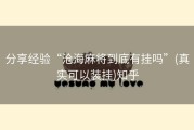 分享经验“沧海麻将到底有挂吗”(真实可以装挂)知乎