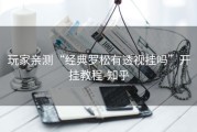 玩家亲测“经典罗松有透视挂吗”开挂教程-知乎