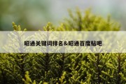 昭通关键词排名&amp;昭通百度贴吧