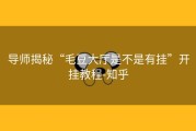 导师揭秘“毛豆大厅是不是有挂”开挂教程-知乎
