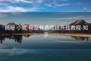  揭秘 小贰 有没有透视挂开挂教程-知乎