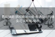  教程辅助 悠闲麻将川南 有透视挂吗确实可以开挂-知乎