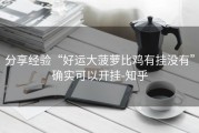 分享经验“好运大菠萝比鸡有挂没有”确实可以开挂-知乎