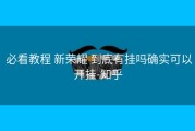  必看教程 新荣耀 到底有挂吗确实可以开挂-知乎