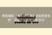 教程辅助“微乐捉鸡麻子到底那里有挂”详细开挂教程分享 知乎
