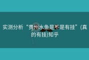 实测分析“贵州水鱼是不是有挂”(真的有挂)知乎
