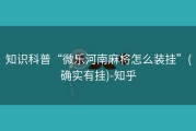 知识科普“微乐河南麻将怎么装挂”(确实有挂)-知乎