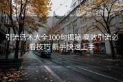 引流话术大全100句揭秘 高效引流必看技巧 新手快速上手