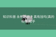  知识科普 永衡跑胡子 真有挂吗(真的有挂)知乎