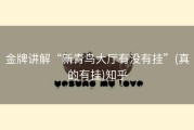 金牌讲解“新青鸟大厅有没有挂”(真的有挂)知乎