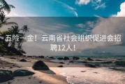 五险一金！云南省社会组织促进会招聘12人！