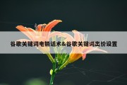 谷歌关键词电销话术&amp;谷歌关键词出价设置