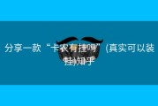 分享一款“卡农有挂吗”(真实可以装挂)知乎