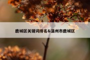 鹿城区关键词排名&amp;温州市鹿城区