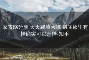  家攻略分享 天天踢填大坑 到底那里有挂确实可以开挂-知乎
