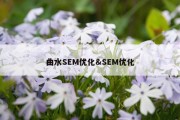 曲水SEM优化&amp;SEM优化