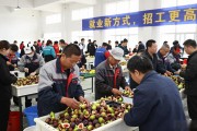 威远现场招聘会+线上找平台，快速招人就业新方式