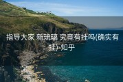  指导大家 新琉璃 究竟有挂吗(确实有挂)-知乎