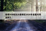 姜堰SEM优化&amp;姜堰区2026年省重大项目开工