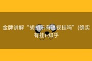 金牌讲解“胡胡乐有透视挂吗”(确实有挂)-知乎