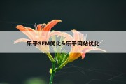 乐平SEM优化&amp;乐平网站优化