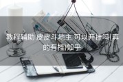  教程辅助 皮皮斗地主 可以开挂吗(真的有挂)知乎