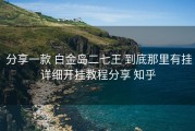  分享一款 白金岛二七王 到底那里有挂详细开挂教程分享 知乎