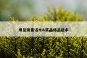 爆品销售话术&amp;菜品爆品话术