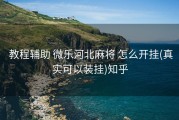  教程辅助 微乐河北麻将 怎么开挂(真实可以装挂)知乎
