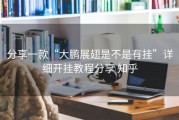 分享一款“大鹏展翅是不是有挂”详细开挂教程分享 知乎