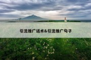 引流推广话术&amp;引流推广句子