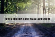 莱州关键词排名&amp;莱州市2021年重点项目