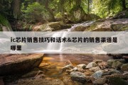 ic芯片销售技巧和话术&amp;芯片的销售渠道是哪里