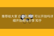  推荐给大家 白金岛湘潭 可以开挂吗详细开挂教程分享 知乎