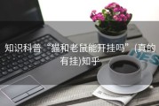 知识科普“猫和老鼠能开挂吗”(真的有挂)知乎