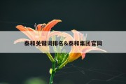 泰和关键词排名&amp;泰和集团官网