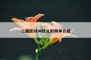 二道区SEM优化的简单介绍