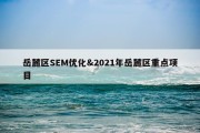 岳麓区SEM优化&amp;2021年岳麓区重点项目