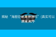 揭秘“海胆巨炮真有挂吗”(真实可以装挂)知乎