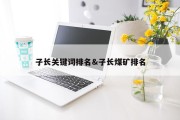 子长关键词排名&amp;子长煤矿排名