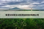 安泽SEM优化&amp;安泽信息技术有限公司
