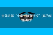 金牌讲解“小南长牌有挂没”(真的有挂)知乎