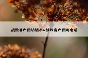 战败客户回访话术&amp;战败客户回访电话