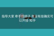  指导大家 牵手跑胡子 有没有挂确实可以开挂-知乎