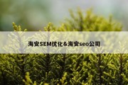 海安SEM优化&amp;海安seo公司