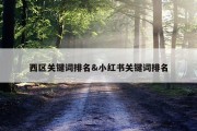 西区关键词排名&amp;小红书关键词排名