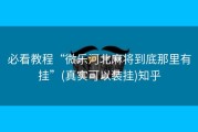 必看教程“微乐河北麻将到底那里有挂”(真实可以装挂)知乎