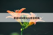 定远SEM优化&amp;定远官网