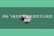  揭秘 飞禽走兽 有挂没(真实可以装挂)知乎