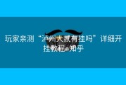 玩家亲测“泸州大贰有挂吗”详细开挂教程- 知乎